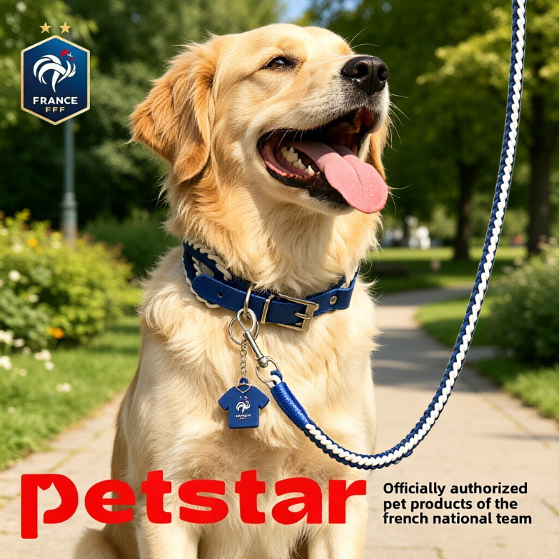French Football Team Style Pet - Pet Supplies Jersey 评论和价格