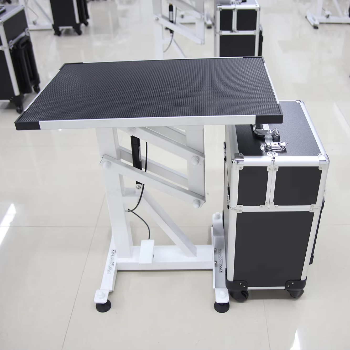2026 Stainless Steel Cat Dog G - Pet Supplies In 评论和价格