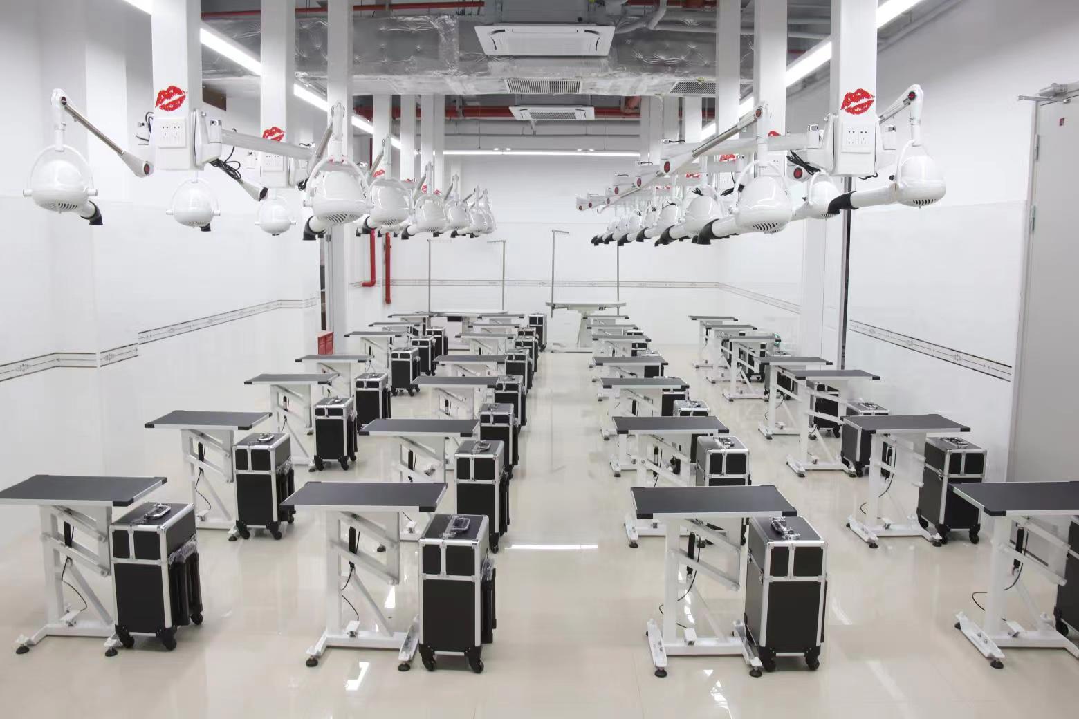 2026 Stainless Steel Cat Dog G - Pet Supplies In 评论和价格
