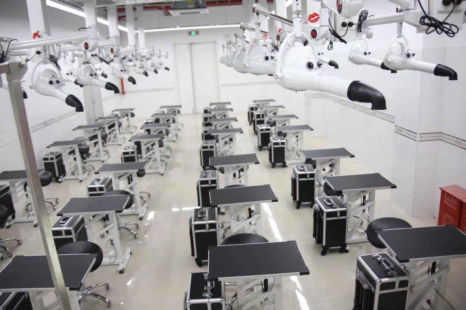 2026 Stainless Steel Cat Dog G - Pet Supplies In 评论和价格