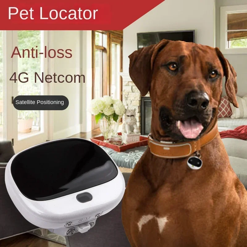 Mini 4G LTE 2G GSM Dog Gps Loc - Pet Supplies App 评论和价格