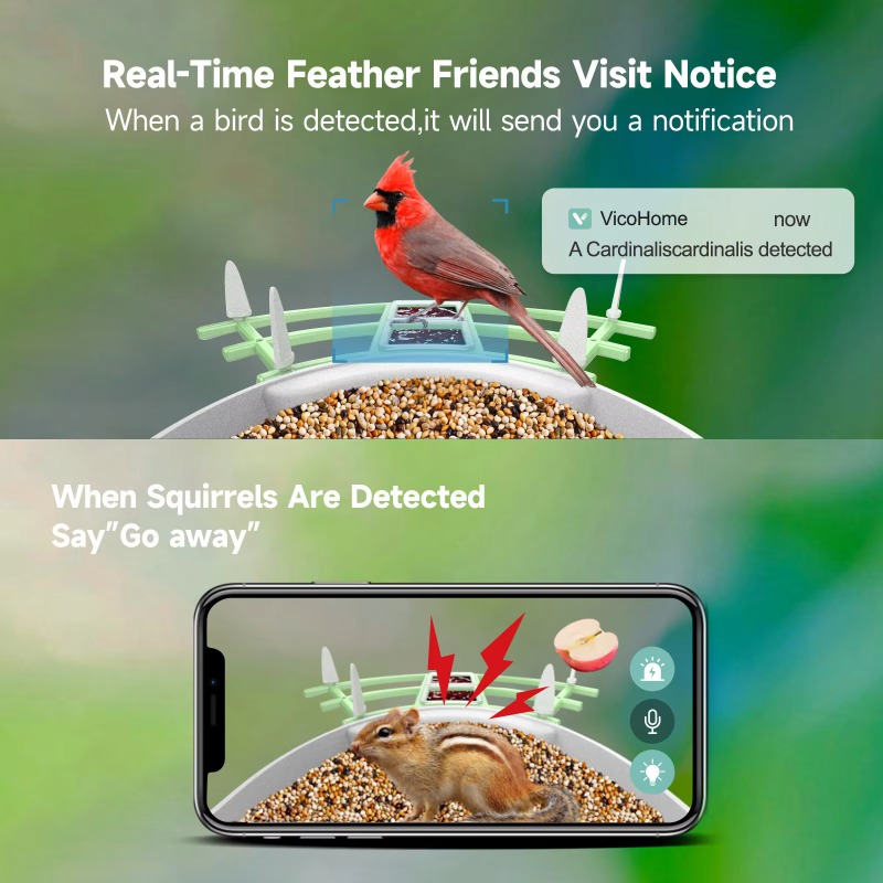 2026 App Video Auto Capture Ca - Pet Supplies App 评论和价格